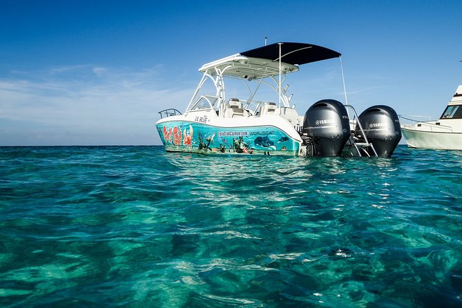 Private Stingray City Snorkeling and BioBay Charter for 10 Guests - Reef snorkeling adds variety to the boat day