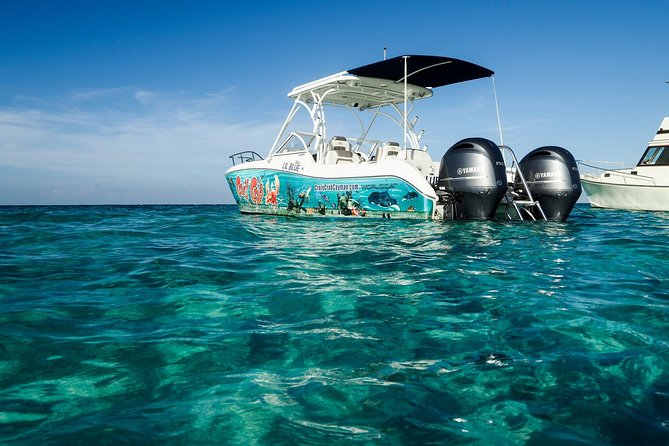 Private Stingray City Snorkeling and BioBay Charter for 6 Guests - Sunset and supper between the water stops