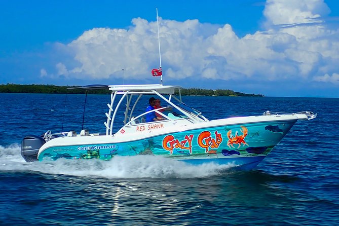 Private Stingray City Snorkeling and BioBay Charter for 6 Guests - Who will enjoy this outing most?