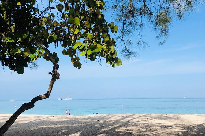 Private Swim Lesson or Triathlon Training on Seven Mile Beach! - Why the Caribbean setting matters