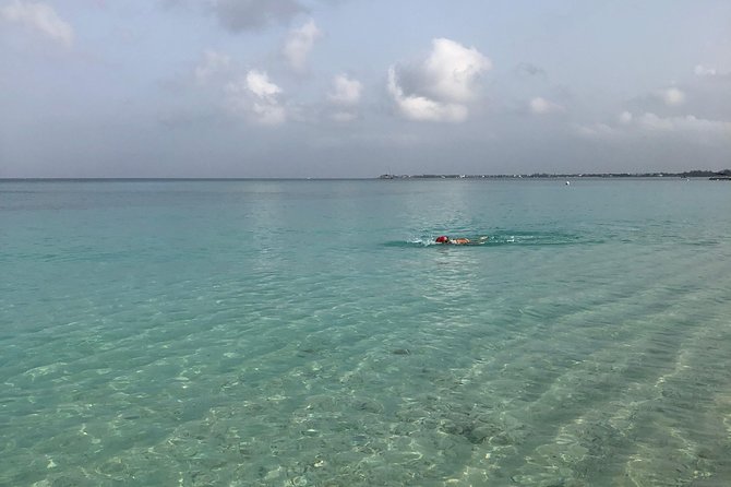 Private Swim Lesson or Triathlon Training on Seven Mile Beach! - Who should book this experience?