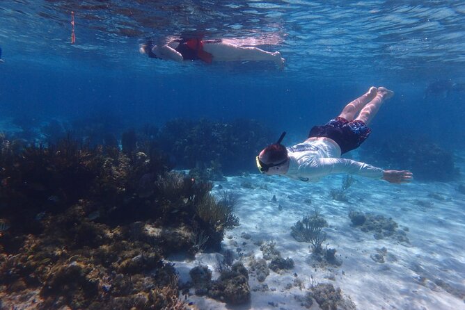 Private Tour to Stingray City & Snorkeling at Coral Gardens - Coral Gardens and the barrier reef