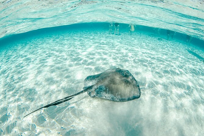 Private Yacht 48 ft Sting Ray City, Snorkel & Starfish Beach - Starfish Beach for a slower stop