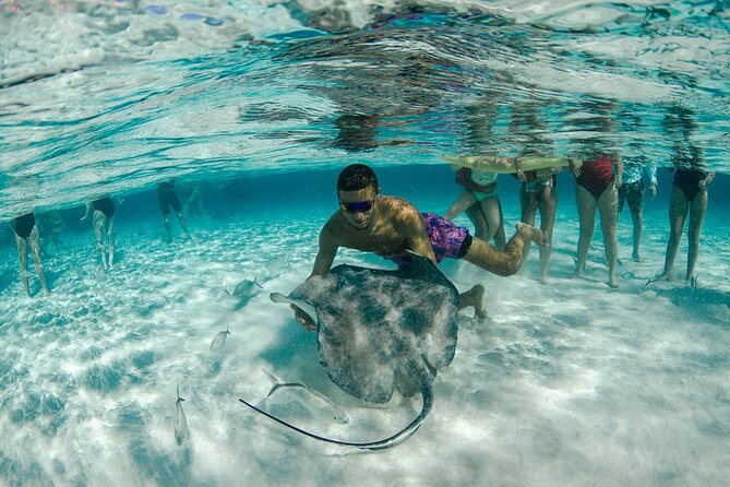 Private Yacht 48 ft Sting Ray City, Snorkel & Starfish Beach - Mangroves, Rum Point, and setting your own pace