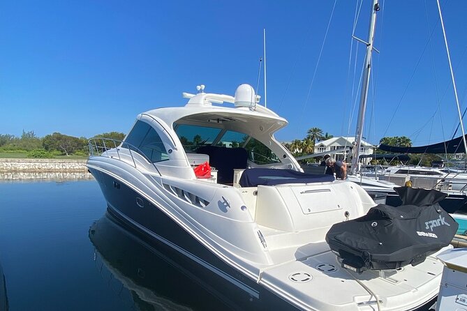 Private Yacht 48 ft Sting Ray City, Snorkel & Starfish Beach - Stingray City, the main event