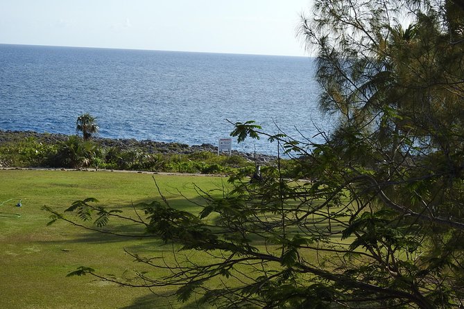 Queen Elizabeth II Botanic Park and Pedro St James Castle Tour in Grand Cayman - The guides can make or break the castle visit