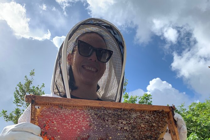 Reagan’s Honey Beekeeping Adventure - Key points at a glance
