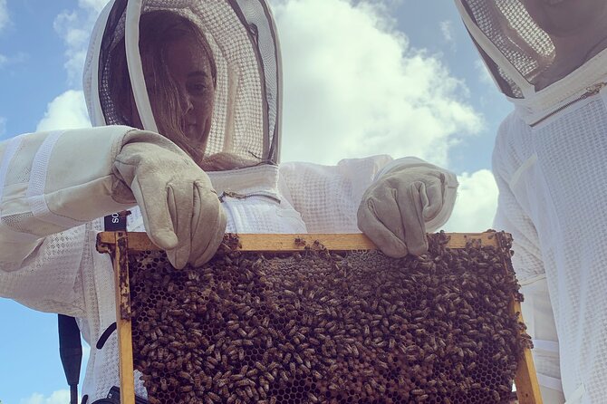 Reagan’s Honey Beekeeping Adventure - Opening an active hive and searching for the queen