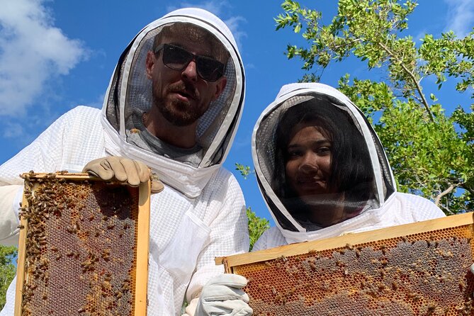 Reagan’s Honey Beekeeping Adventure - Tasting honey straight from the hive