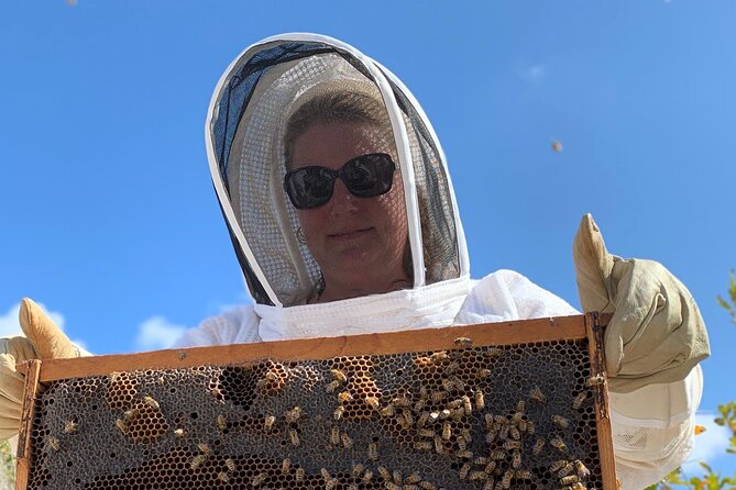 Reagan’s Honey Beekeeping Adventure - Safety, comfort, and the fear of being stung