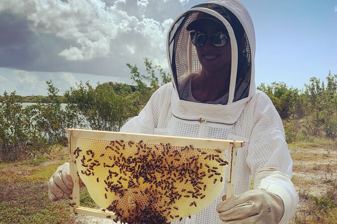 Reagan’s Honey Beekeeping Adventure - What the $66.67 price gets you