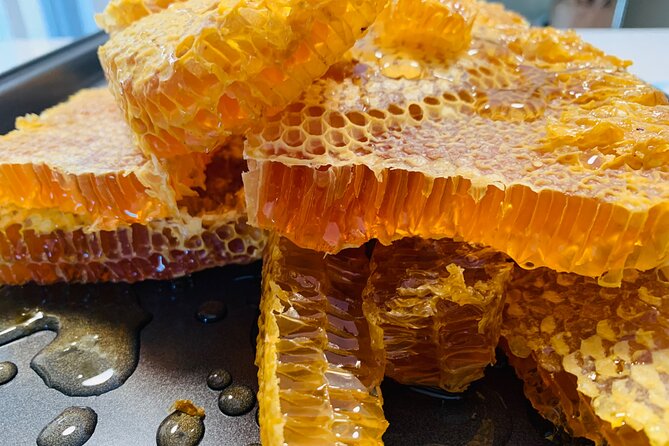 Reagan’s Honey Beekeeping Adventure - Walking through the apiary and tropical woodland