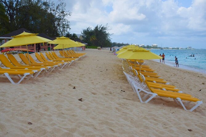 Small Group 7 Mile Beach Stingray City and Coral Gardens Tour - Three Cayman favorites in about five hours