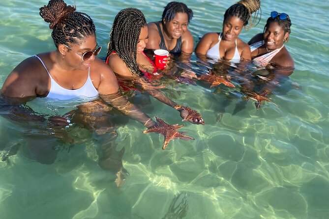 Small Group 7 Mile Beach Stingray City and Coral Gardens Tour - What the $59.50 price really covers
