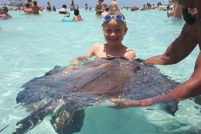 Small Group 7 Mile Beach Stingray City and Coral Gardens Tour - Group size, fitness, and weather