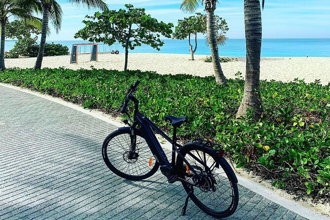 Small Group E-Bike Grand Cayman Ecological Half-Day Tour - What the guides add to the ride