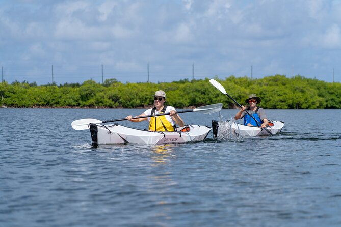 Small Group Glass Bottom Kayak Adventure- Cayman Islands - Key points to know before you book