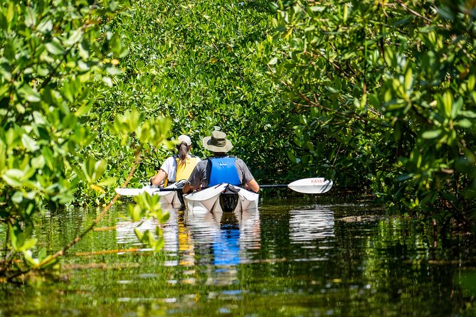 Small Group Glass Bottom Kayak Adventure- Cayman Islands - Starting at Cayman Islands Yacht Club