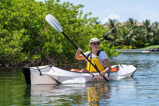 Small Group Glass Bottom Kayak Adventure- Cayman Islands - A closer look at the two-hour itinerary