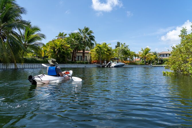 Small Group Glass Bottom Kayak Adventure- Cayman Islands - Who will enjoy this Cayman kayak trip?