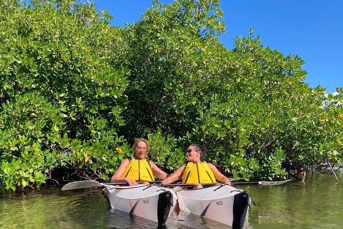 Small Group Glass Bottom Kayak Adventure- Cayman Islands - Practical advice for a better outing