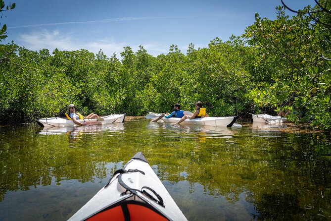 Small Group Glass Bottom Kayak Adventure- Cayman Islands - Entering Grand Cayman’s red mangrove waterways
