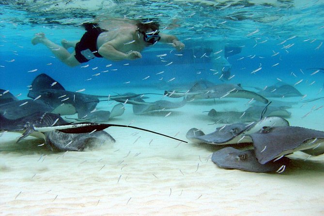 Starfish Point, Stingray City & Coral Garden (3-STOP Adventure) - At a glance: what makes this boat trip worthwhile