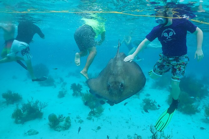 Starfish Point, Stingray City & Coral Garden (3-STOP Adventure) - Stingray City puts you in the middle of the action