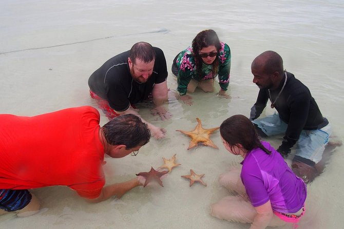 Starfish Point, Stingray City & Coral Garden (3-STOP Adventure) - What the $80 price includes