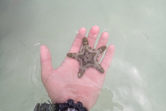 Starfish Point, Stingray City & Coral Garden (3-STOP Adventure) - How to prepare for a comfortable day