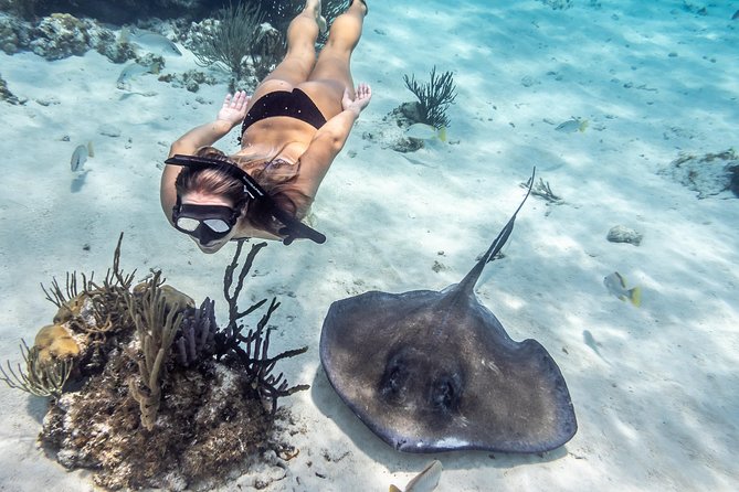 Starfish Point, Stingray City-Sandbar & Coral Gardens - Getting from the cruise port to the boat