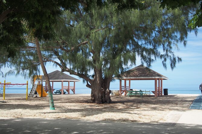 Stingray City and Seven Mile Beach Adventure Tour - How the four-hour schedule feels