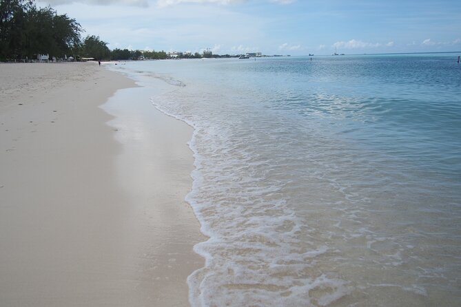 Stingray City and Seven Mile Beach Adventure Tour - Is $99 a fair price?