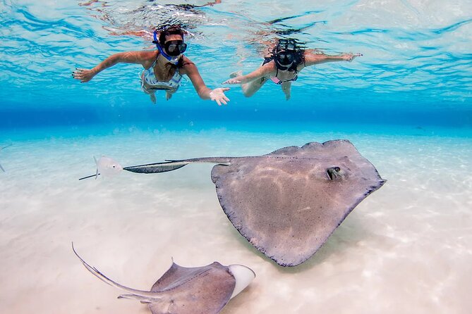 Stingray City and Starfish Experience with Coral Reef Snorkeling - What to bring and how to prepare