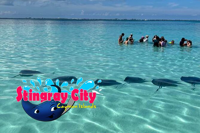 Stingray City and Starfish Experience with Coral Reef Snorkeling - Who will enjoy this tour most