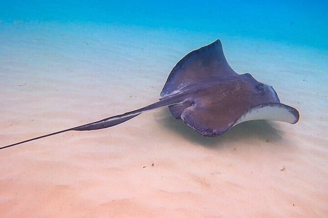 Stingray City Catamaran Sunset Tour - Who will enjoy this trip most