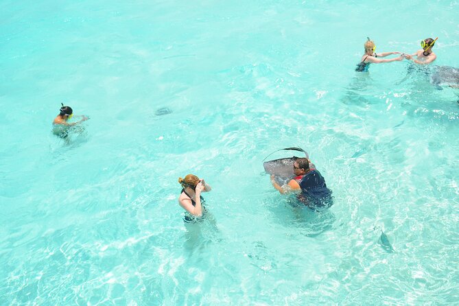 Stingray City, Coral Gardens & Frankie's Local Lunch & Juice - Is $78 a fair price?