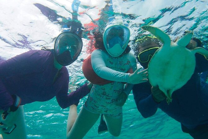 Stingray City Experience Plus One Snorkeling Stop - Who will enjoy this trip most