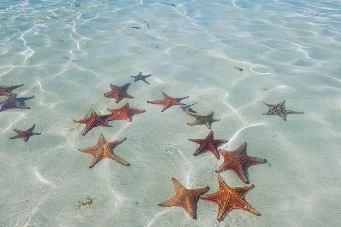 Stingray City Experience Plus Two Snorkeling spots Private Boat - What the captain and crew add