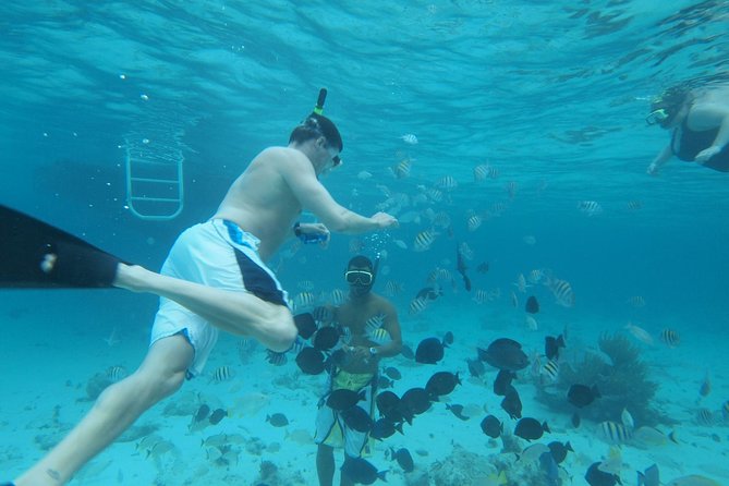 Stingray City Experience Plus Two Snorkeling Stops on Grand Cayman - Stingray City gives the tour its reason to exist