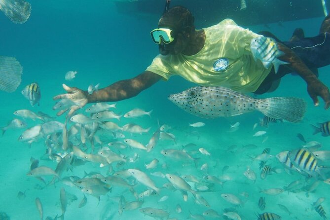 Stingray City Experience Plus Two Snorkeling Stops on Grand Cayman - Who will enjoy this half-day outing?