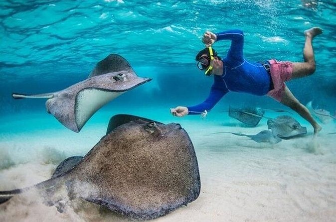 Stingray City Sandbar, Coral Gardens Snorkeling & Star Fish Point - The boat ride and ground transfers shape the day