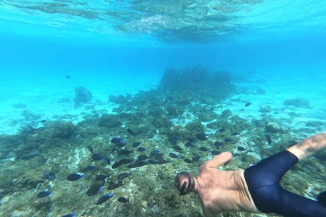 Stingray City, Star fish Point and Snorkeling Private Boat Tour - Snorkeling with room to spread out