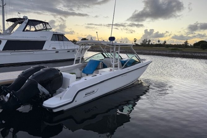 Stingray City, Star fish Point and Snorkeling Private Boat Tour - Comfort, weather, and what to bring
