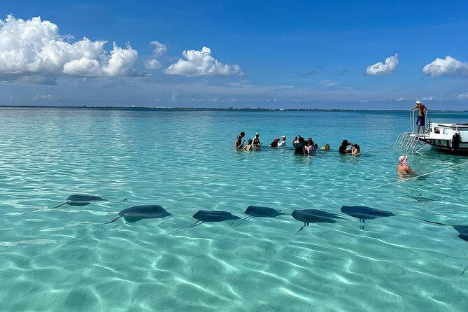 StingrayCity ,Coral Garden & Starfish Tour. - Key points to know before booking