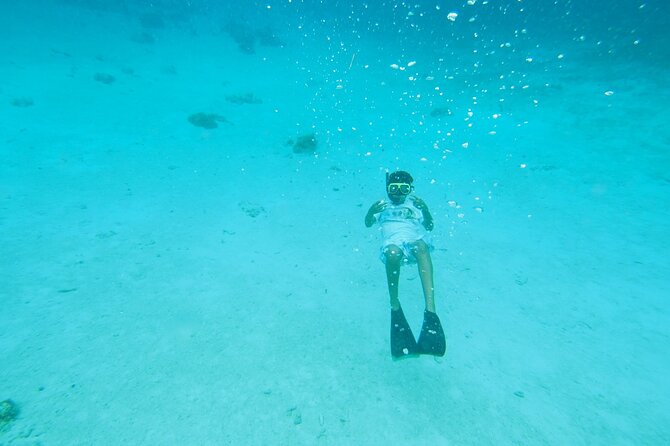 StingrayCity ,Coral Garden & Starfish Tour. - Who will enjoy this Grand Cayman outing most