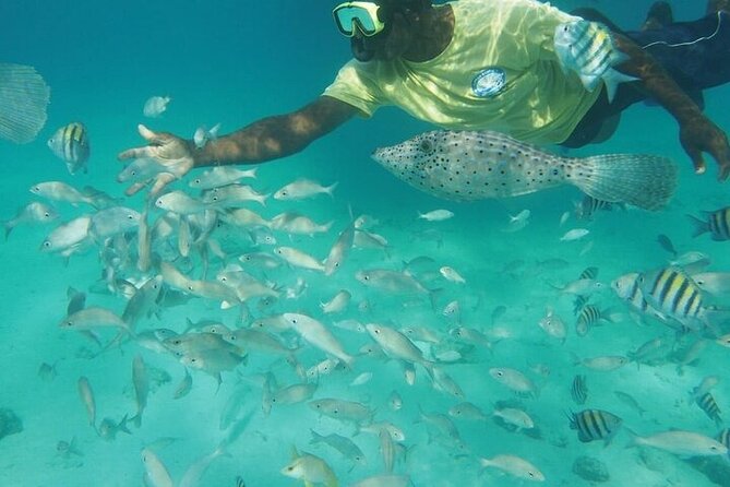 Stingrays, Starfish and Snorkeling Tour - Boarding the motor catamaran