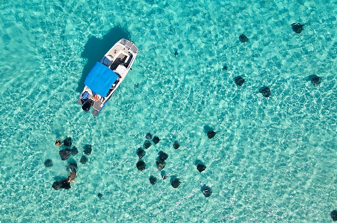 Sunrise at Stingray City, Private Tour - Who will enjoy this early start