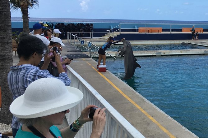 West Bay Sightseeing Tour Plus Seven Mile Beach Visit - Starting at the North Terminal in George Town
